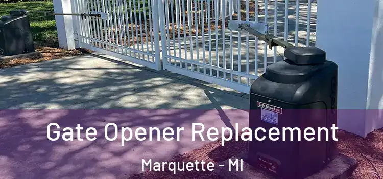 Gate Opener Replacement Marquette - MI