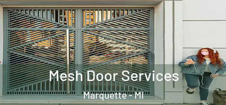 Mesh Door Services Marquette - MI