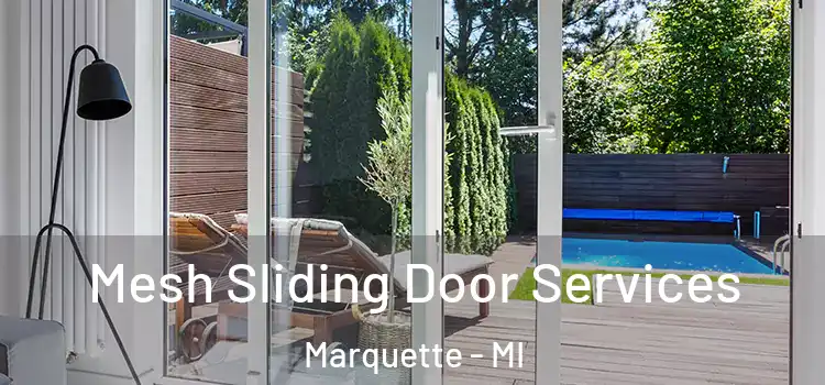 Mesh Sliding Door Services Marquette - MI